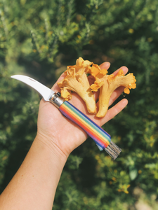 Rainbow Mushroom Knife